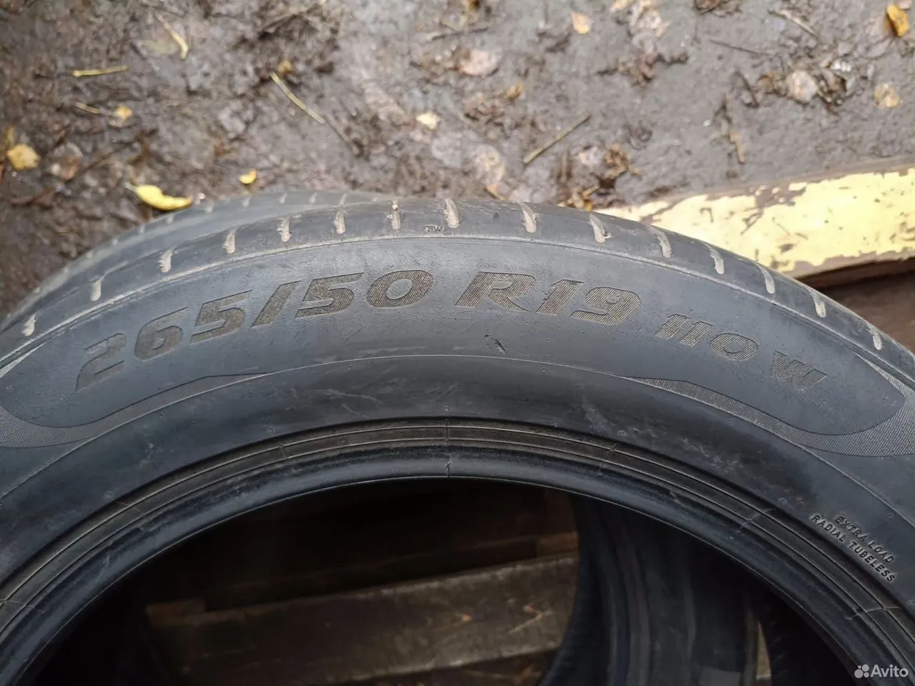 Pirelli P Zero PZ4 265/50 R19 110W, фото 6