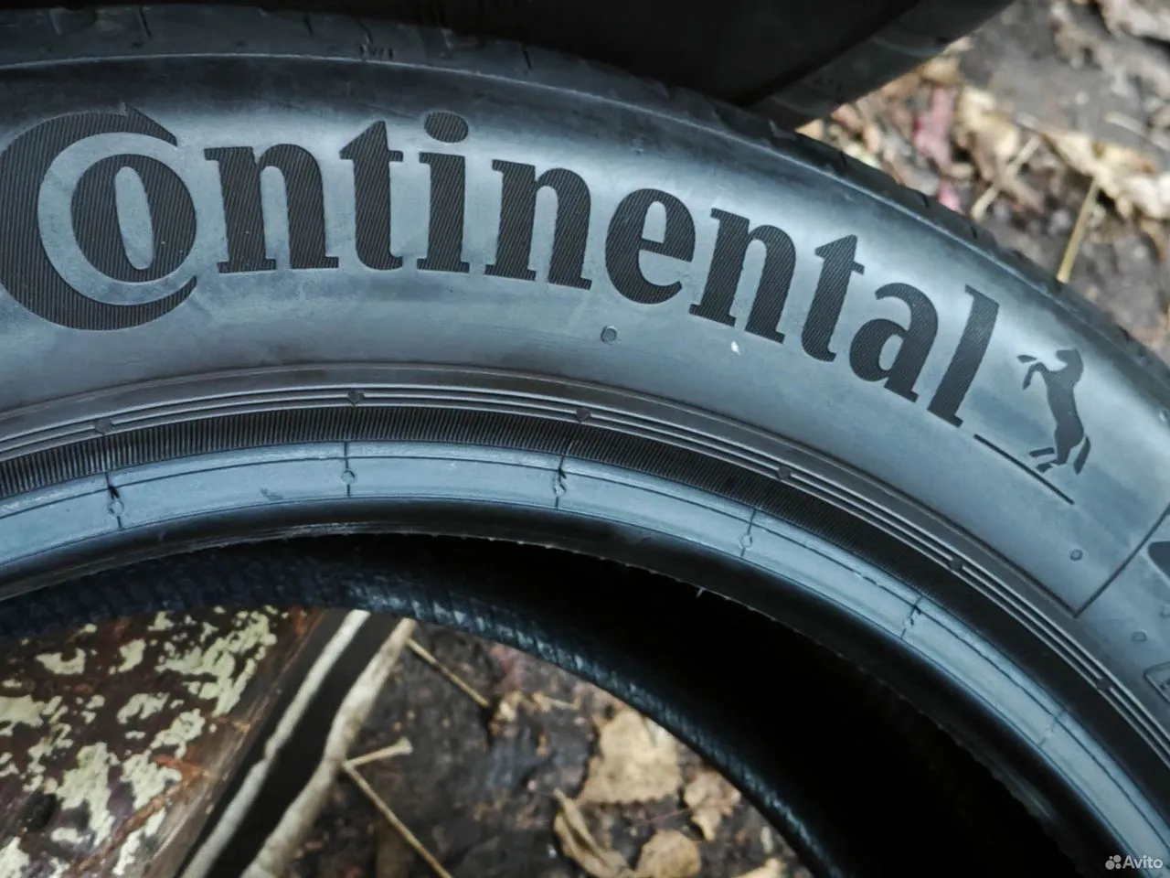Continental EcoContact 6 205/55 R17 91W, фото 8